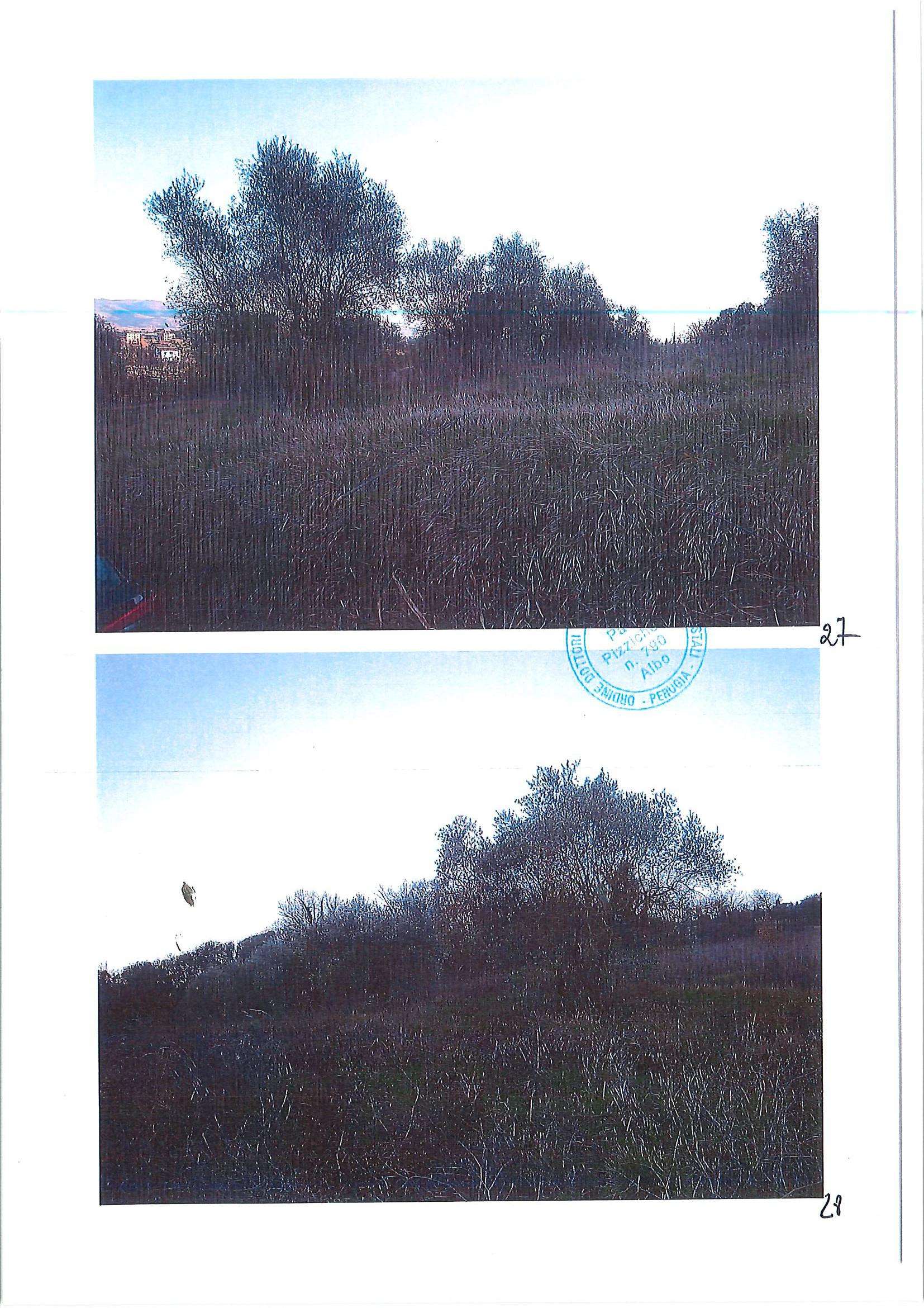  - foto 19