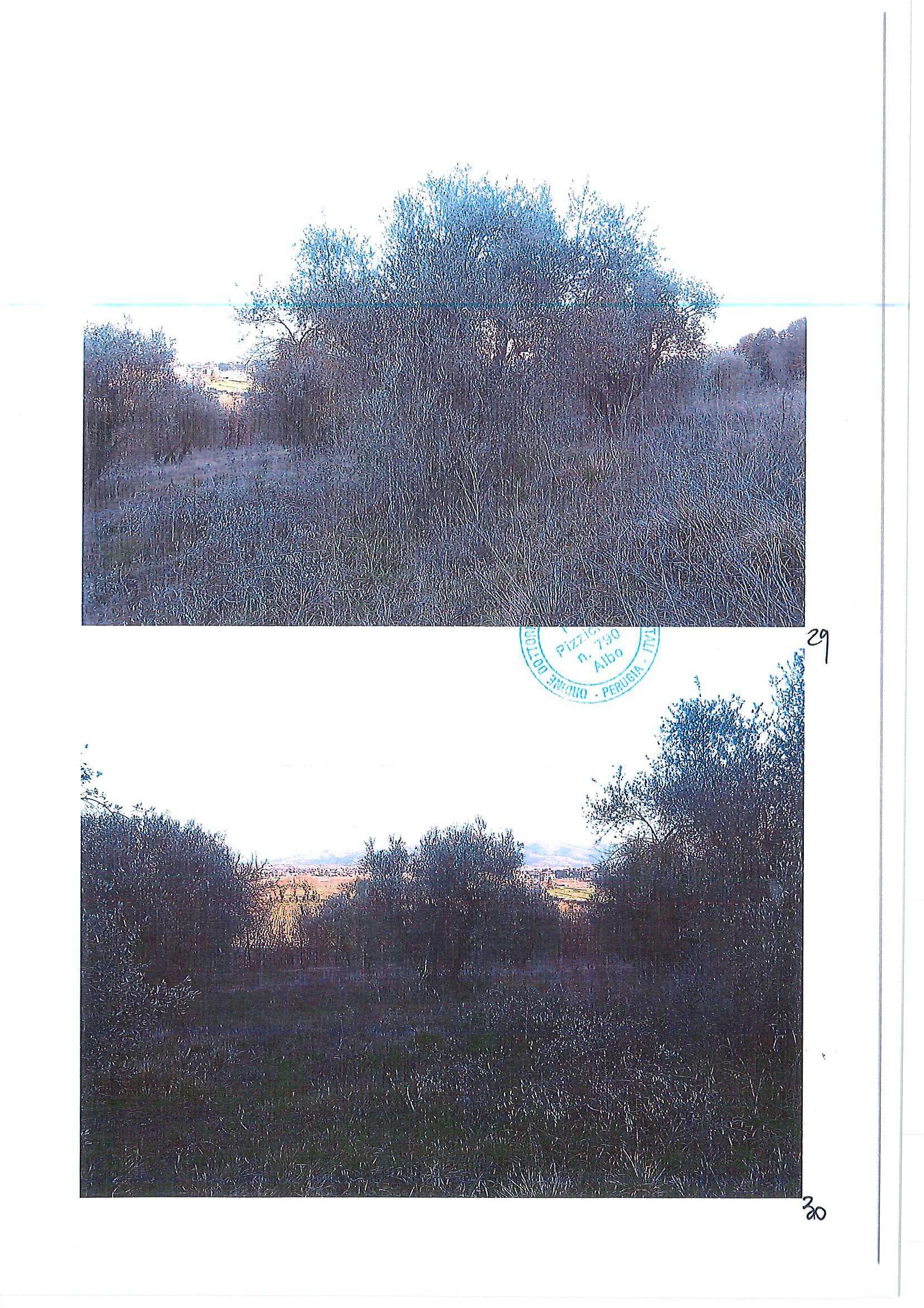  - foto 20
