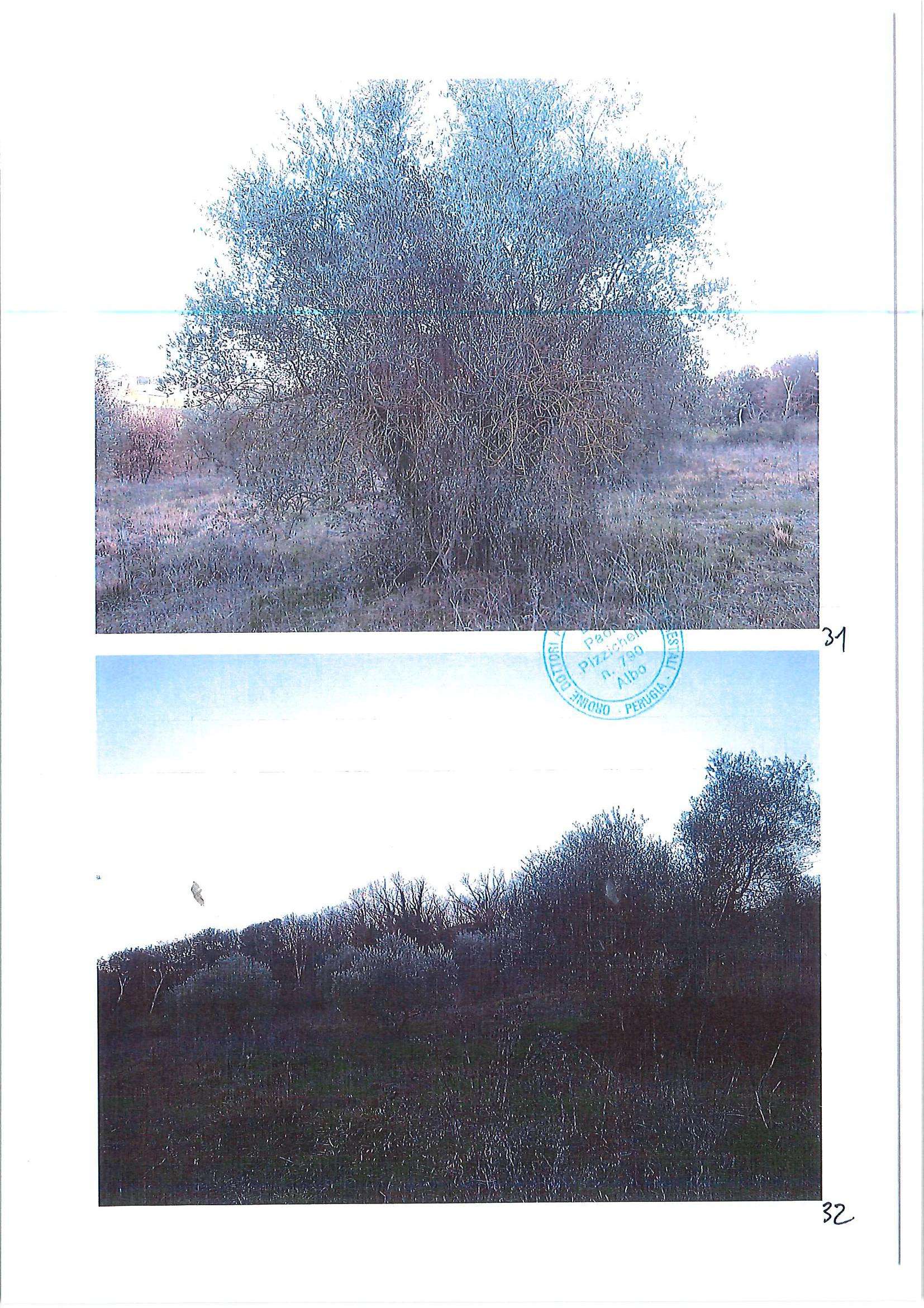  - foto 21