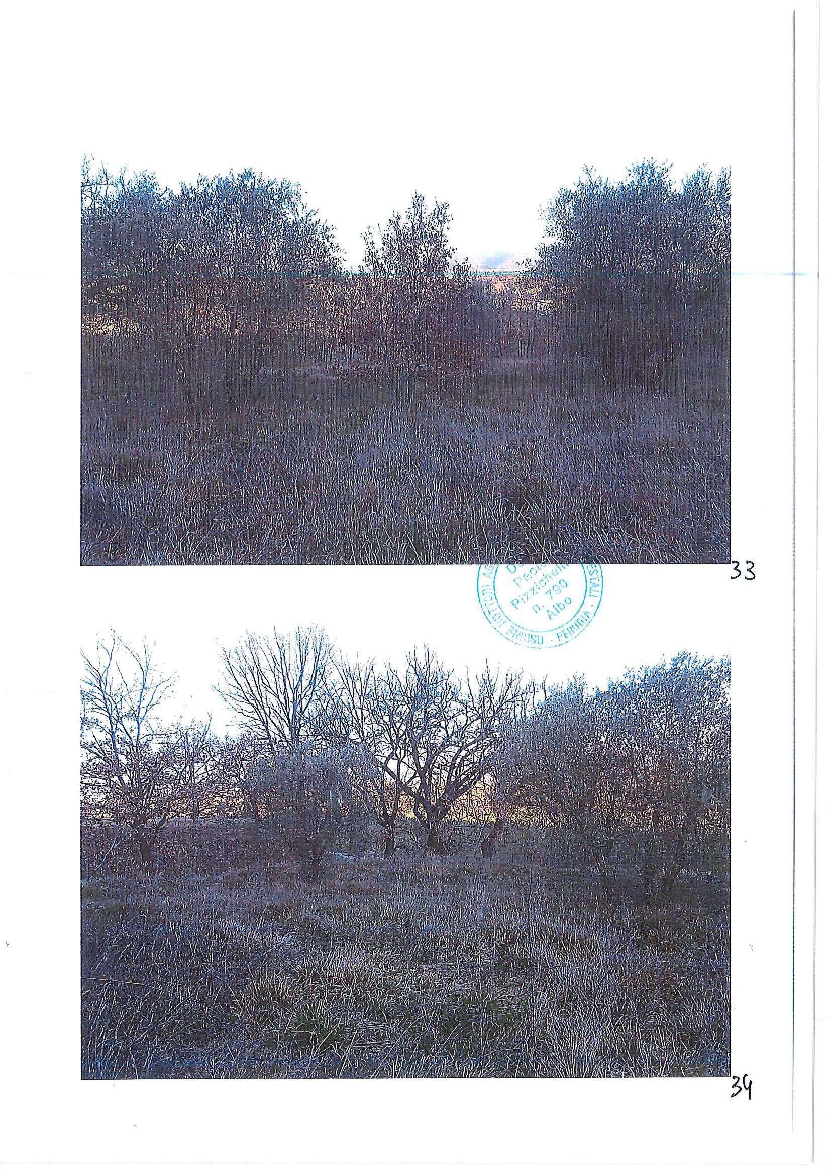  - foto 22