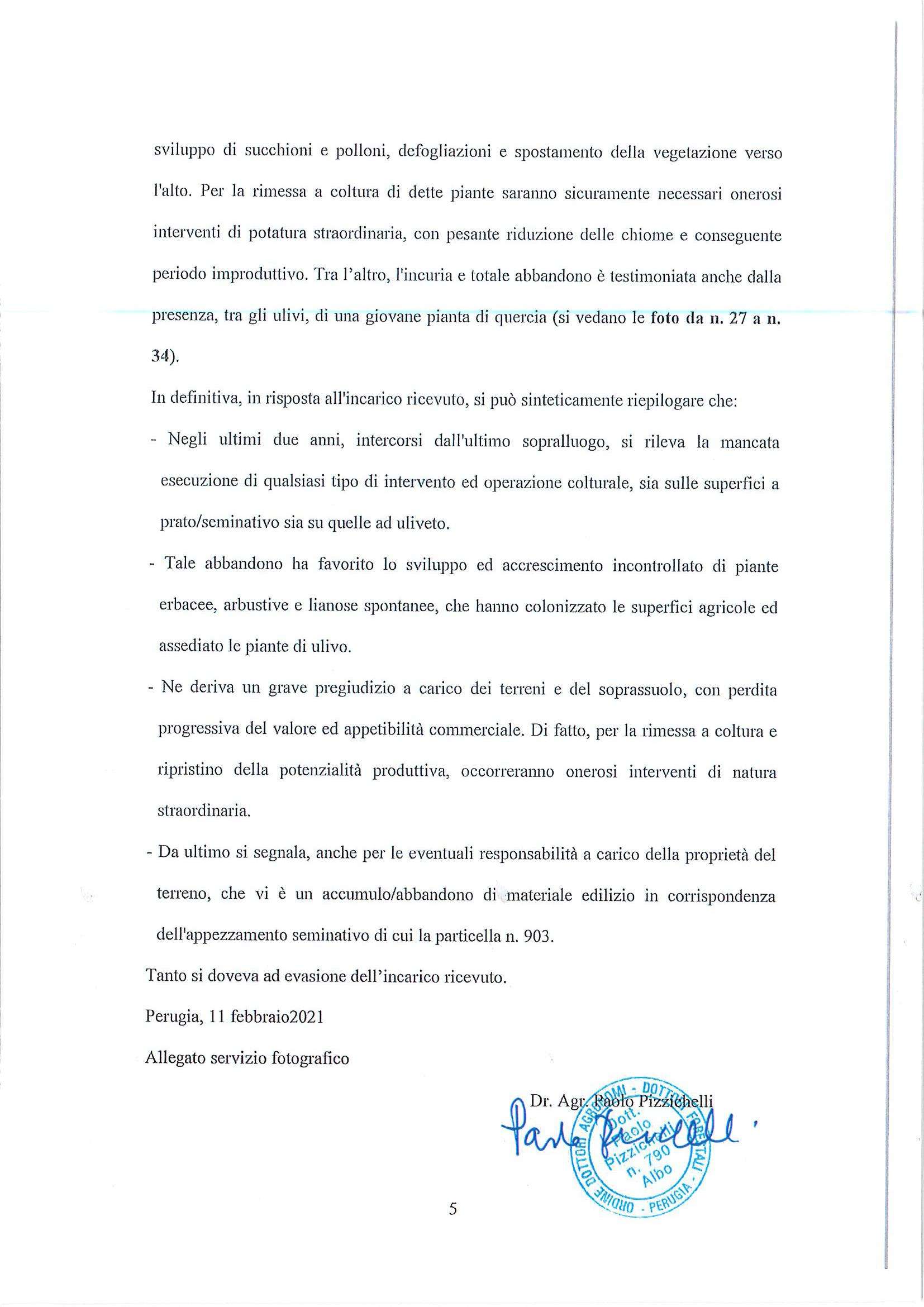  - foto 5