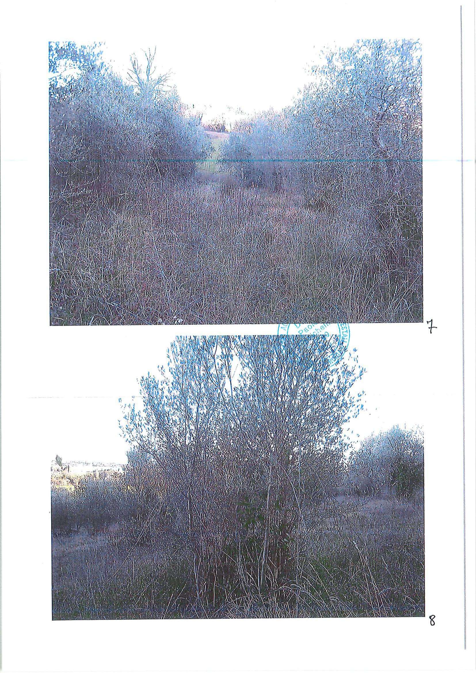  - foto 9