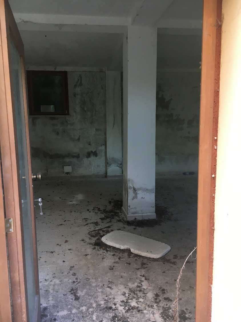  - foto 19