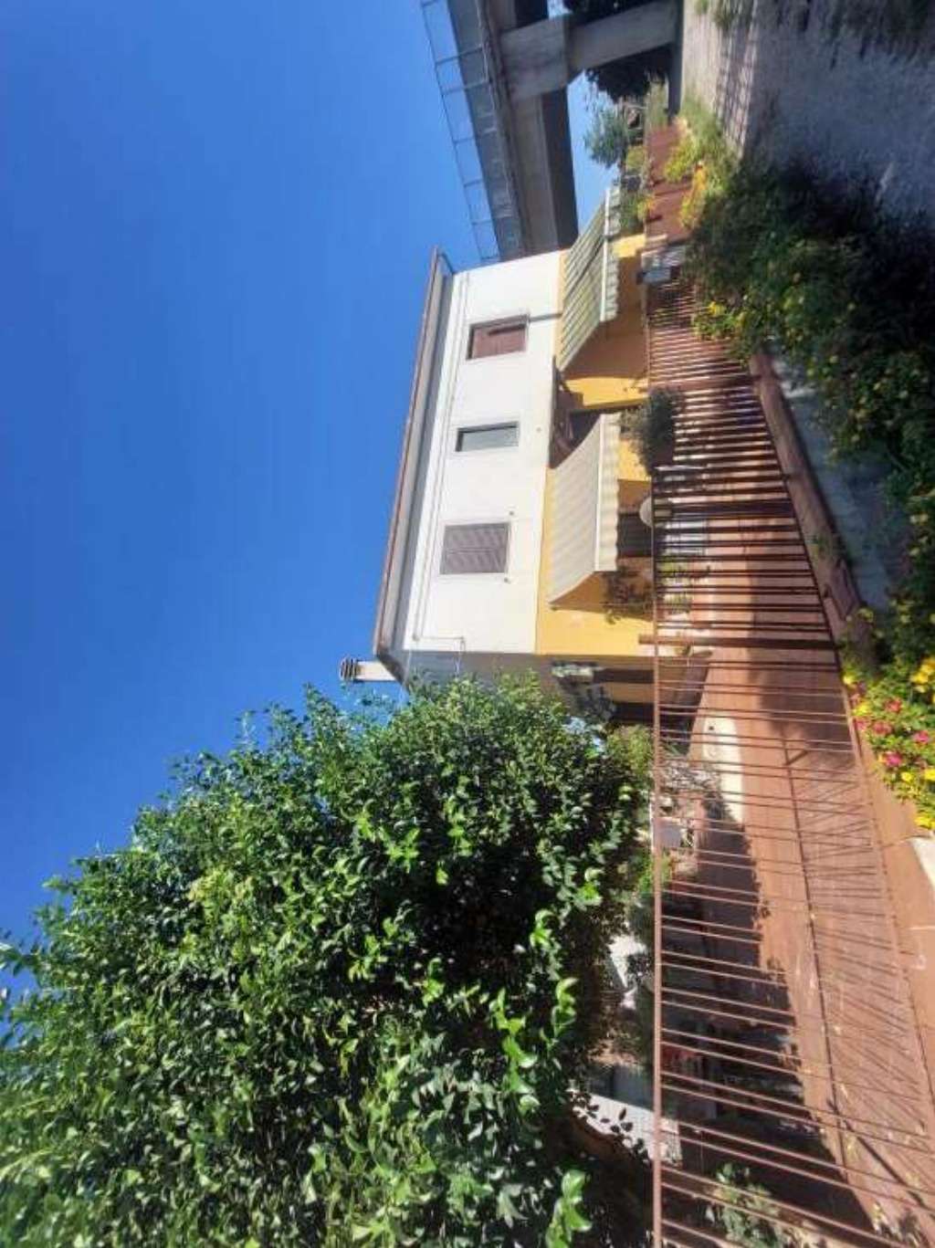  - foto 13