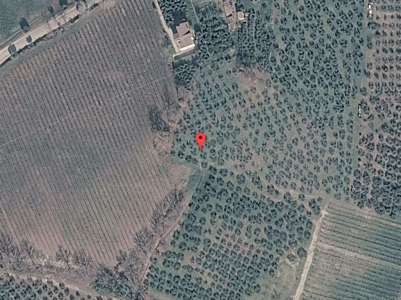 Palazzo - Stabile Strada Com.le per Castel Ritaldi B 10, Castel Ritaldi
