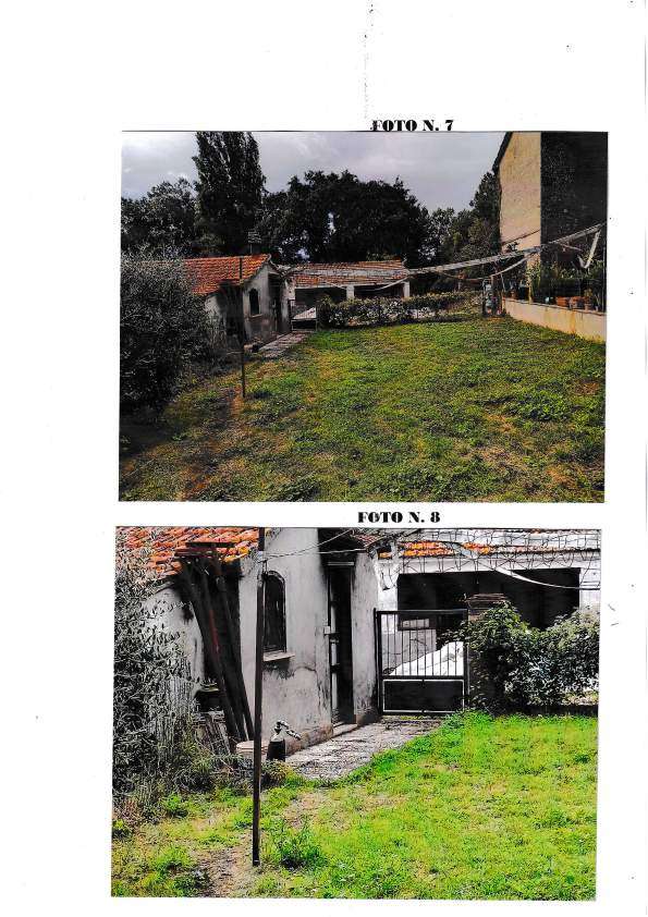  - foto 5