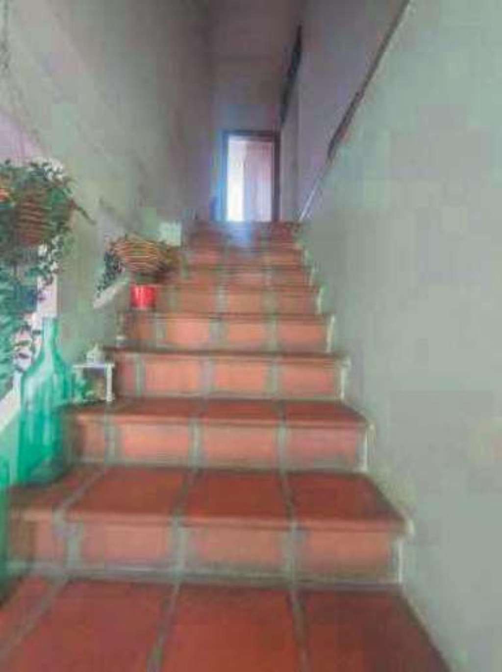  - foto 16