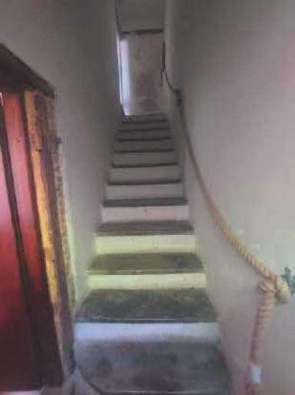 - foto 9
