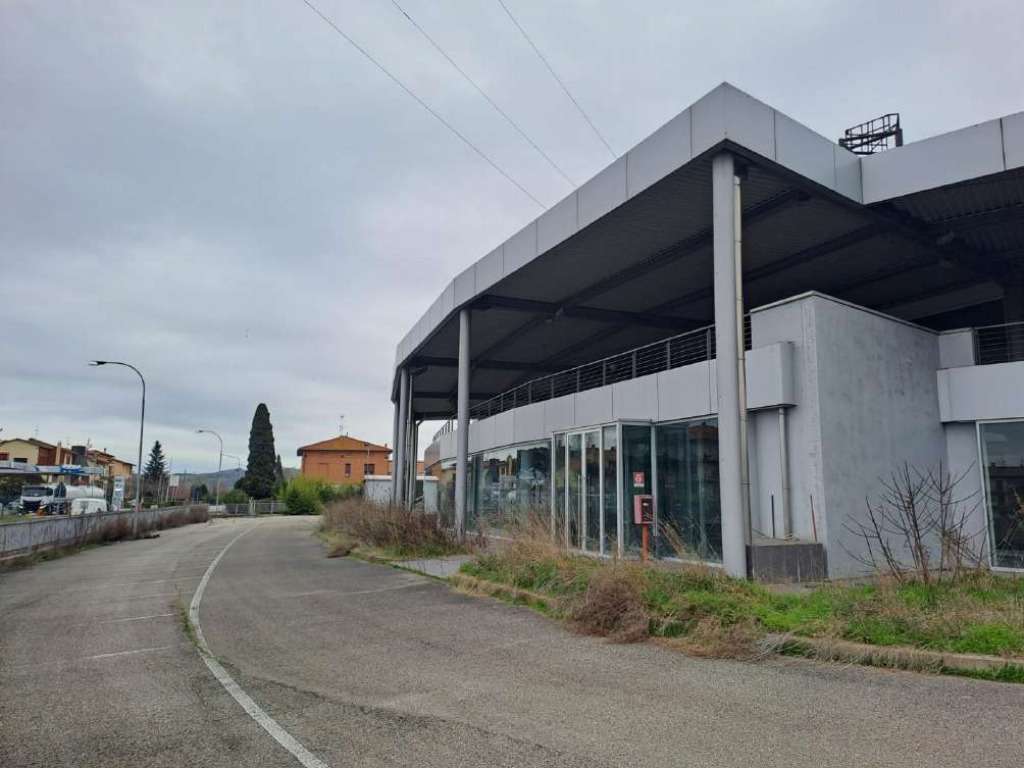  - foto 19