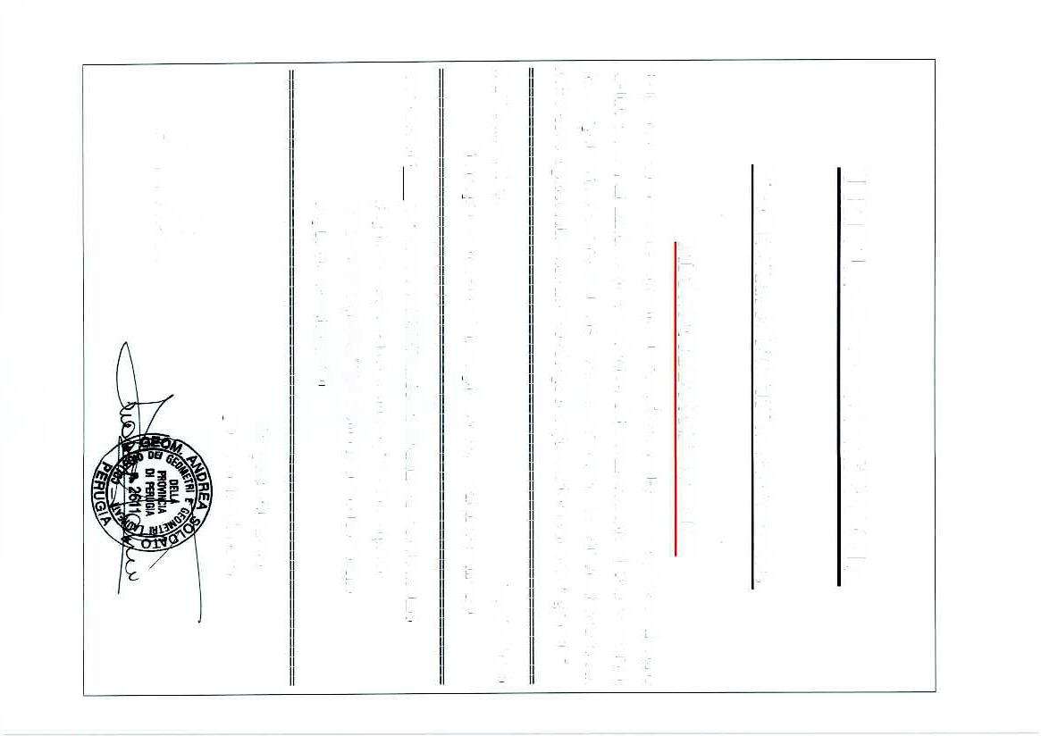  - foto 17