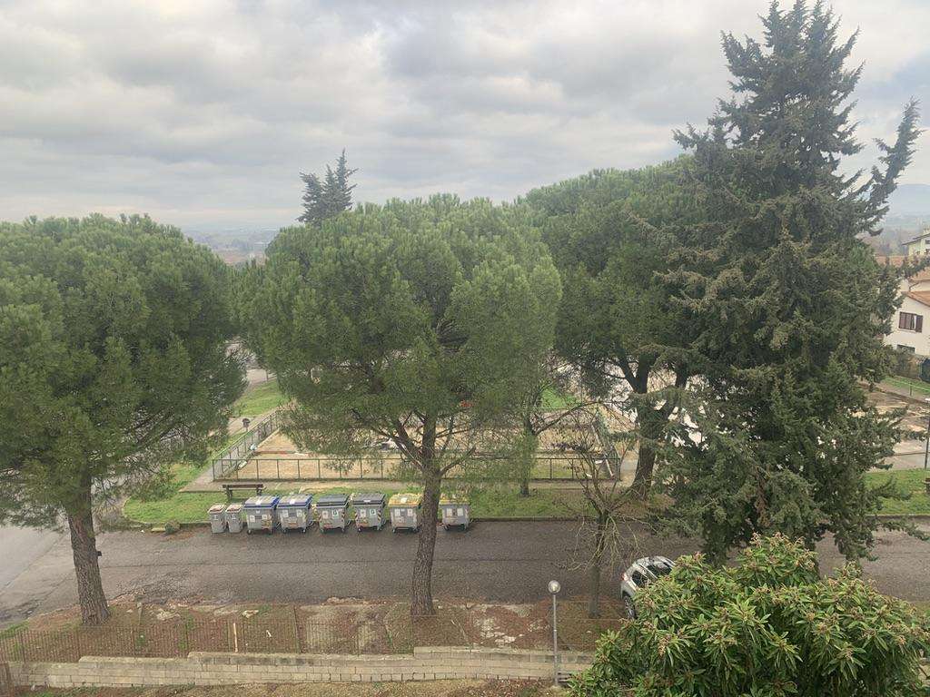  - foto 13