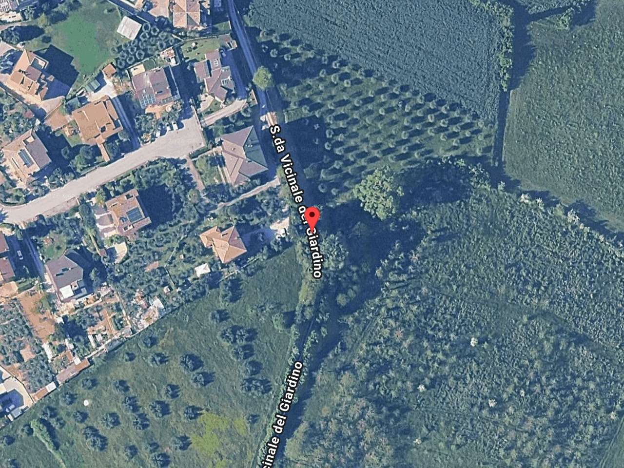  - foto 2