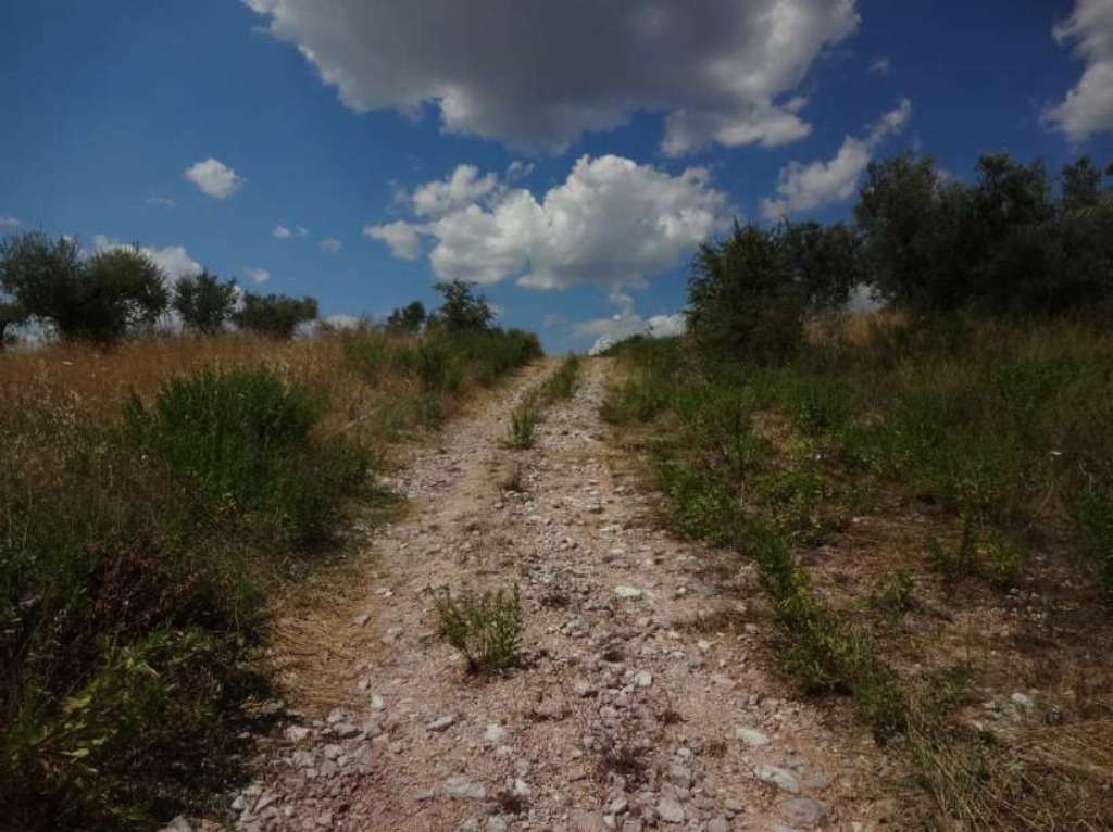  - foto 14