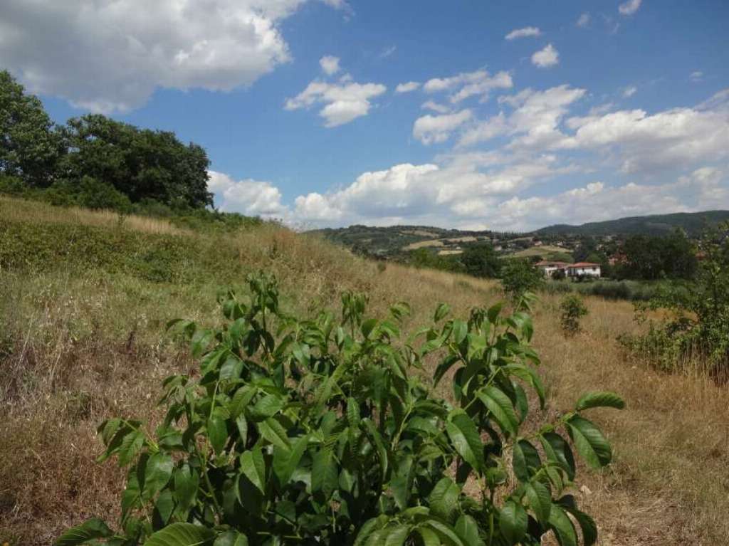  - foto 9