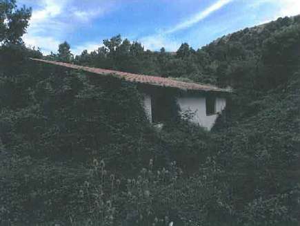  - foto 10
