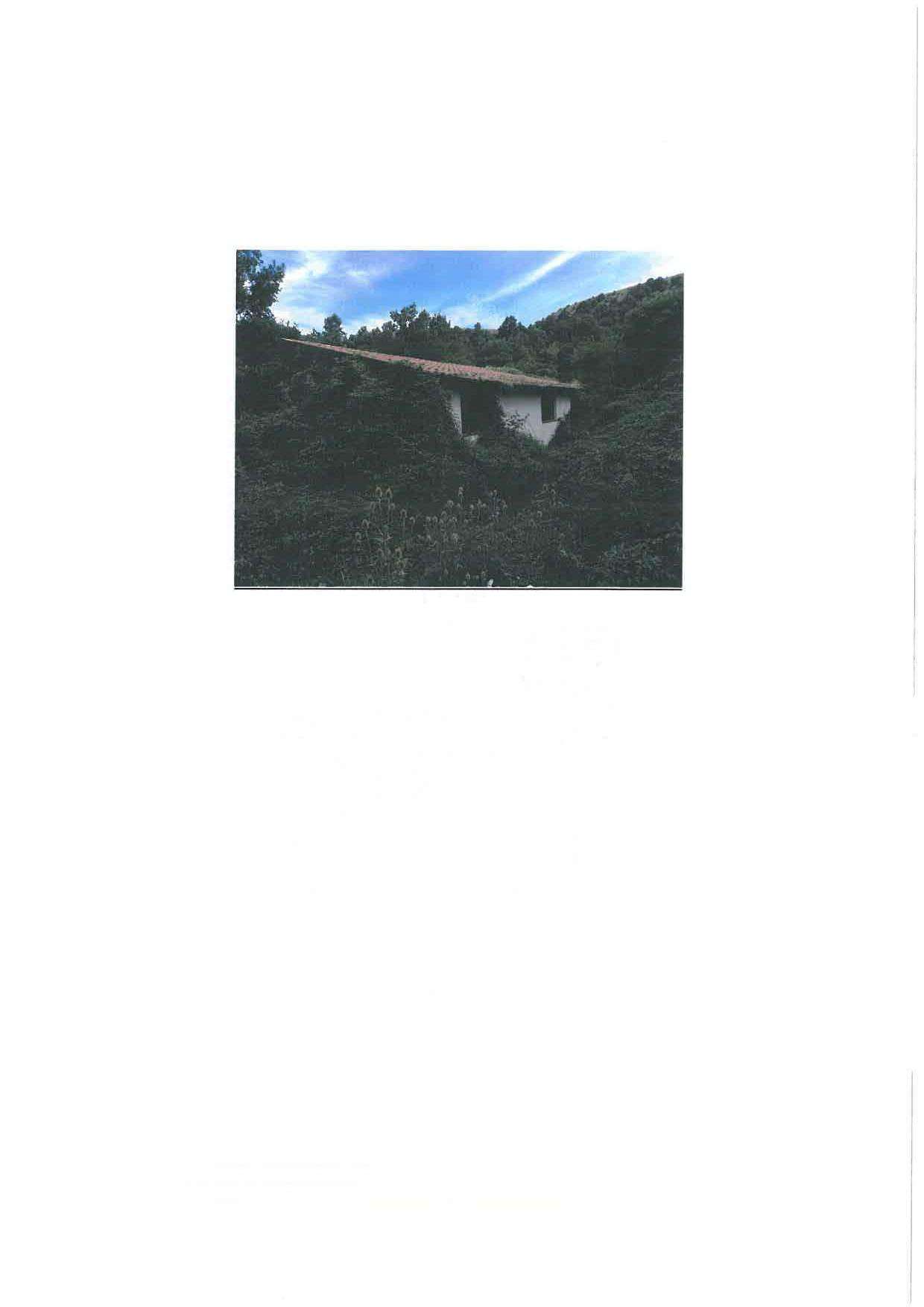  - foto 9