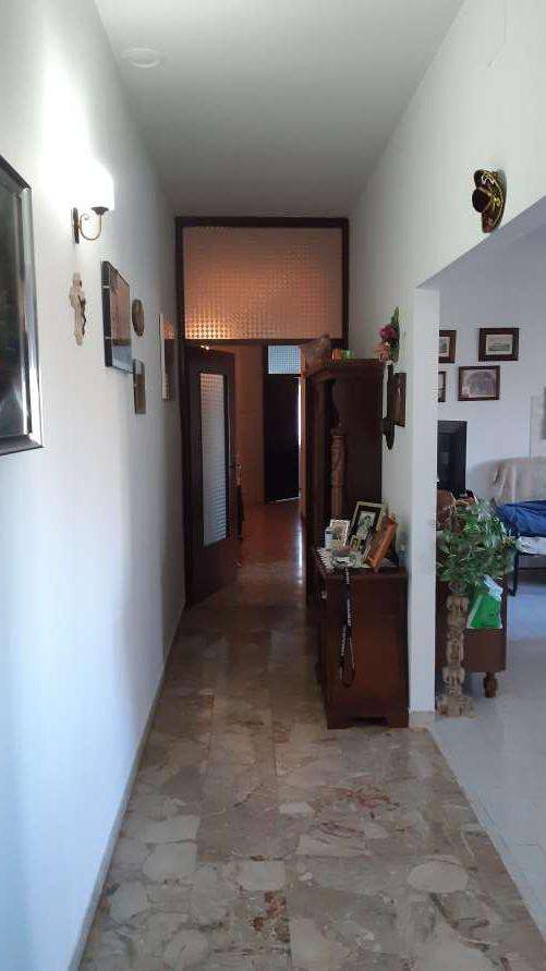  - foto 11
