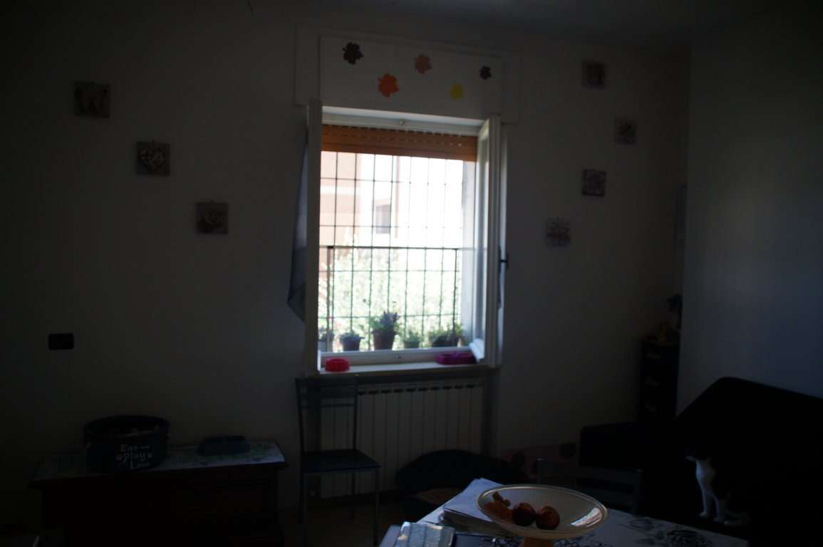  - foto 19