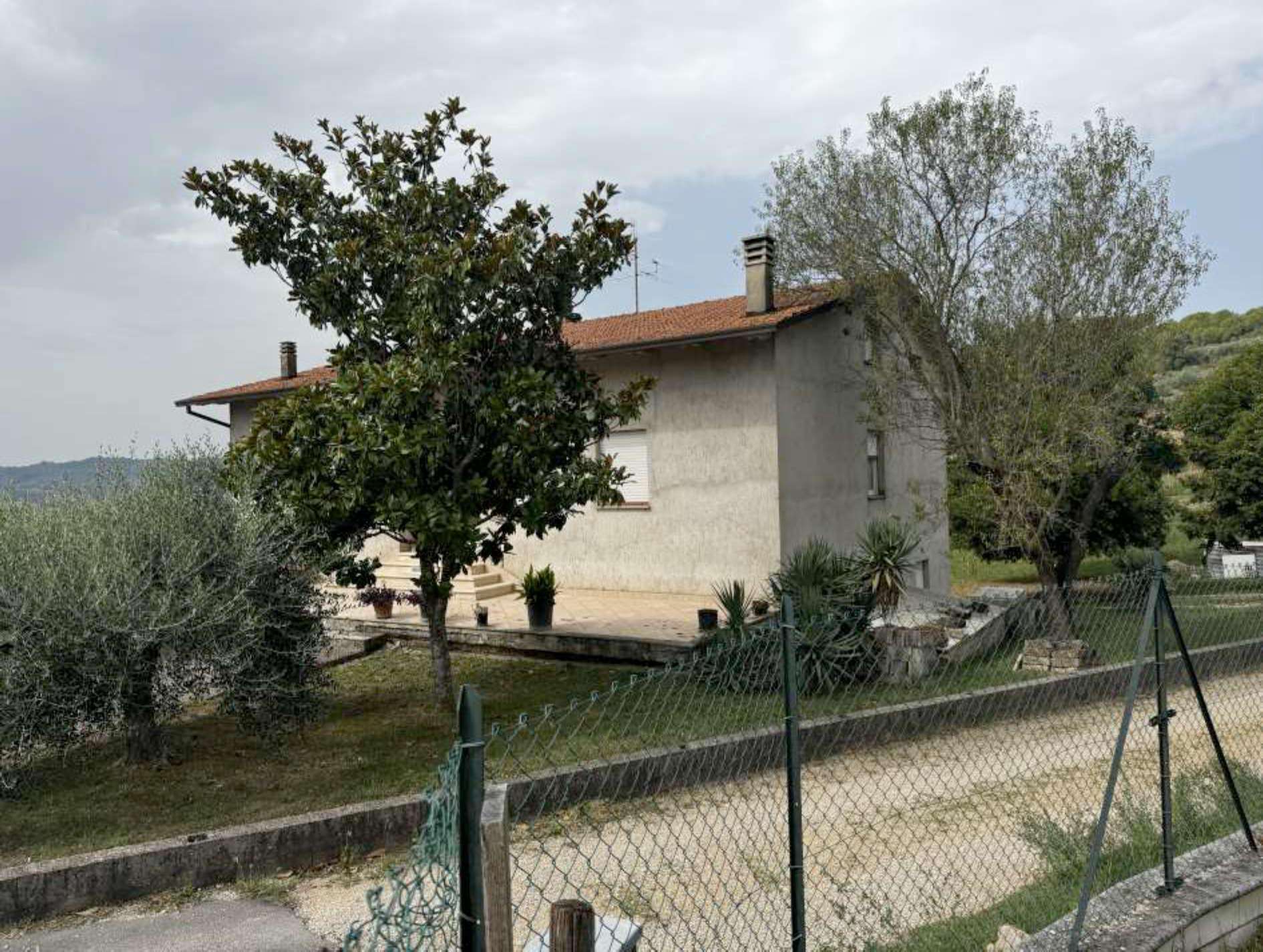  - foto 4