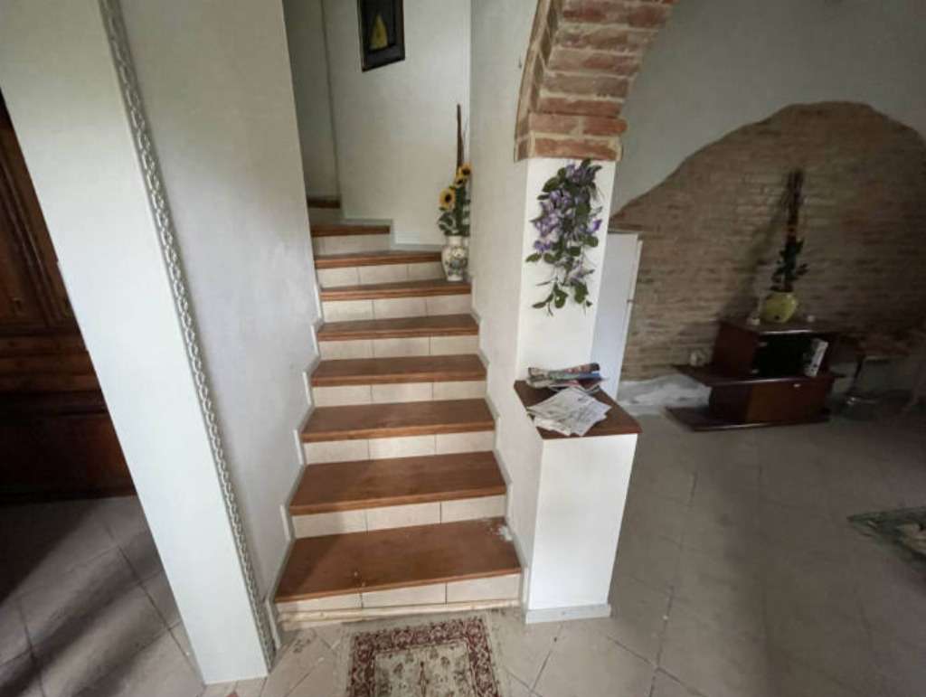  - foto 9