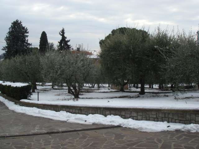  - foto 5