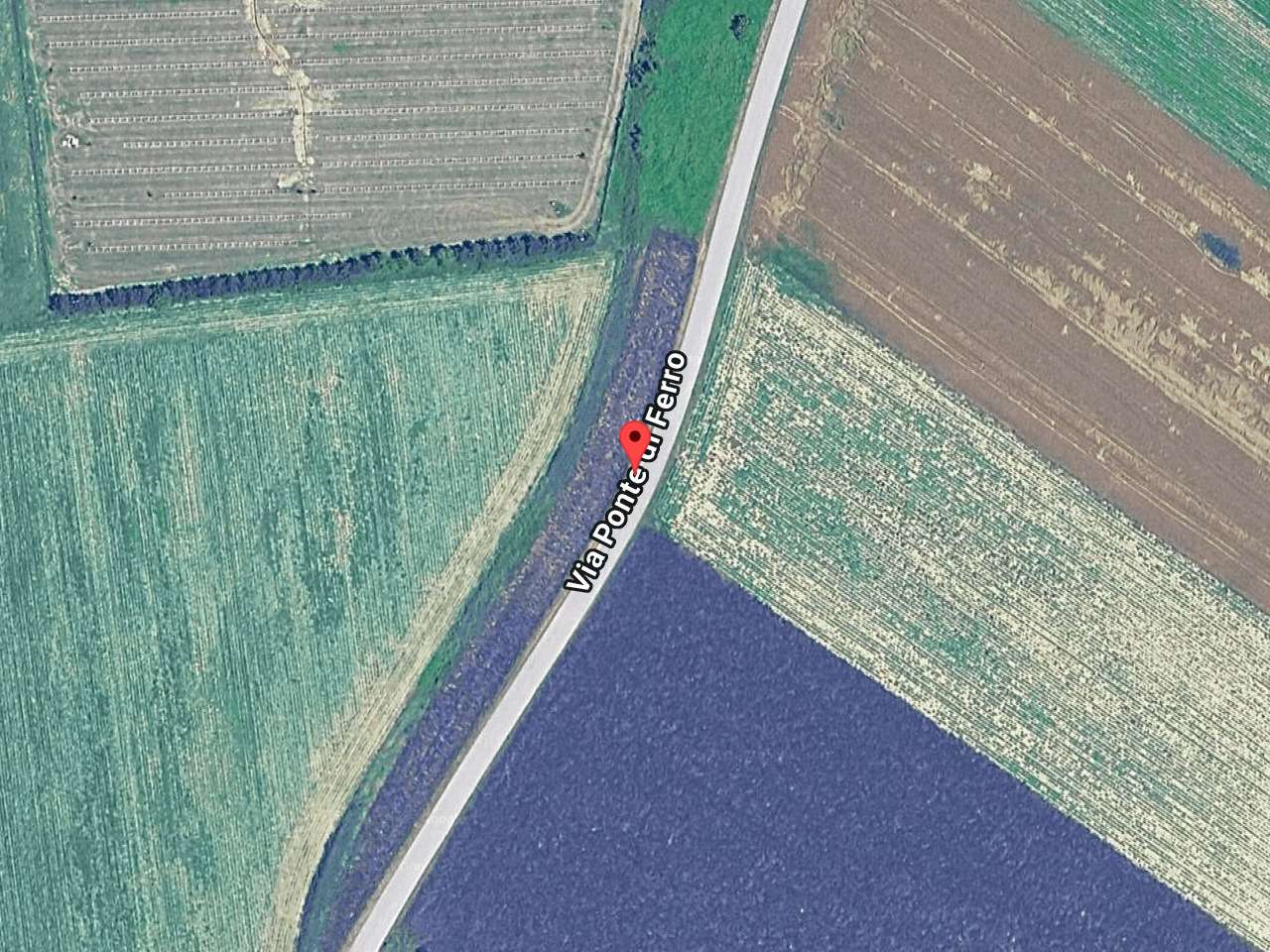  - foto 2