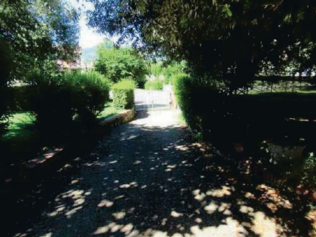  - foto 8