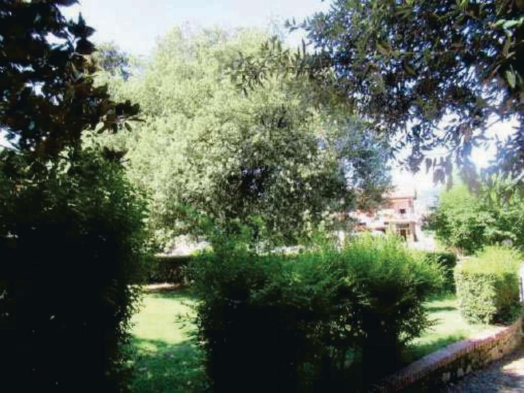  - foto 9