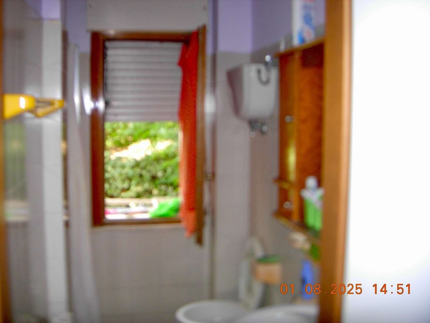  - foto 12
