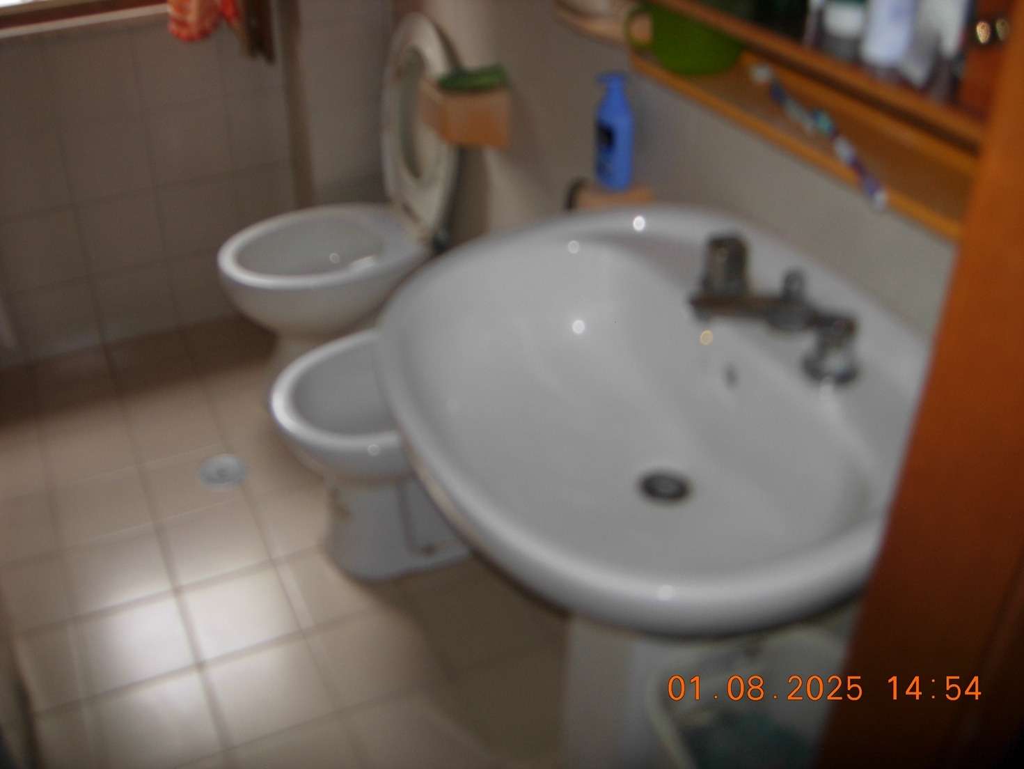  - foto 13