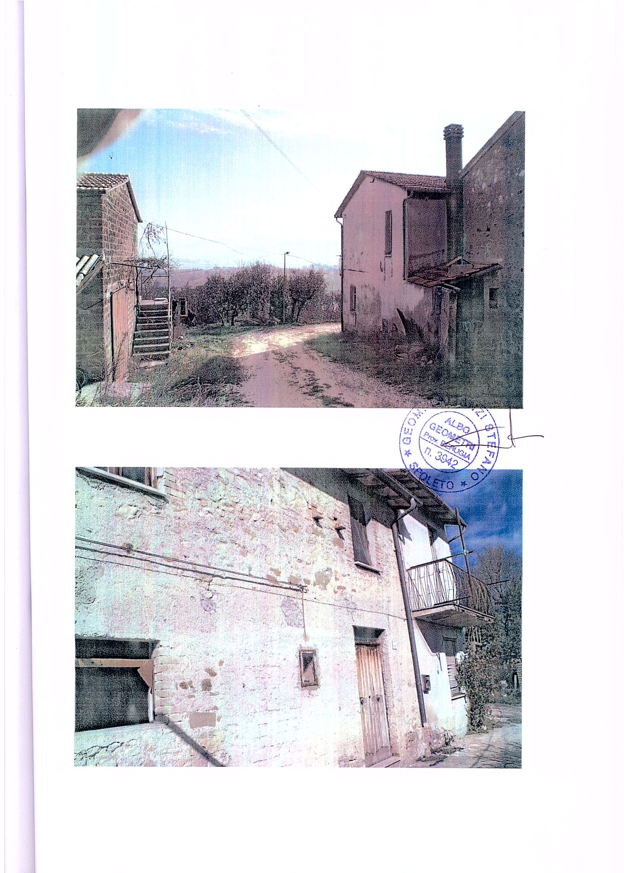  - foto 12