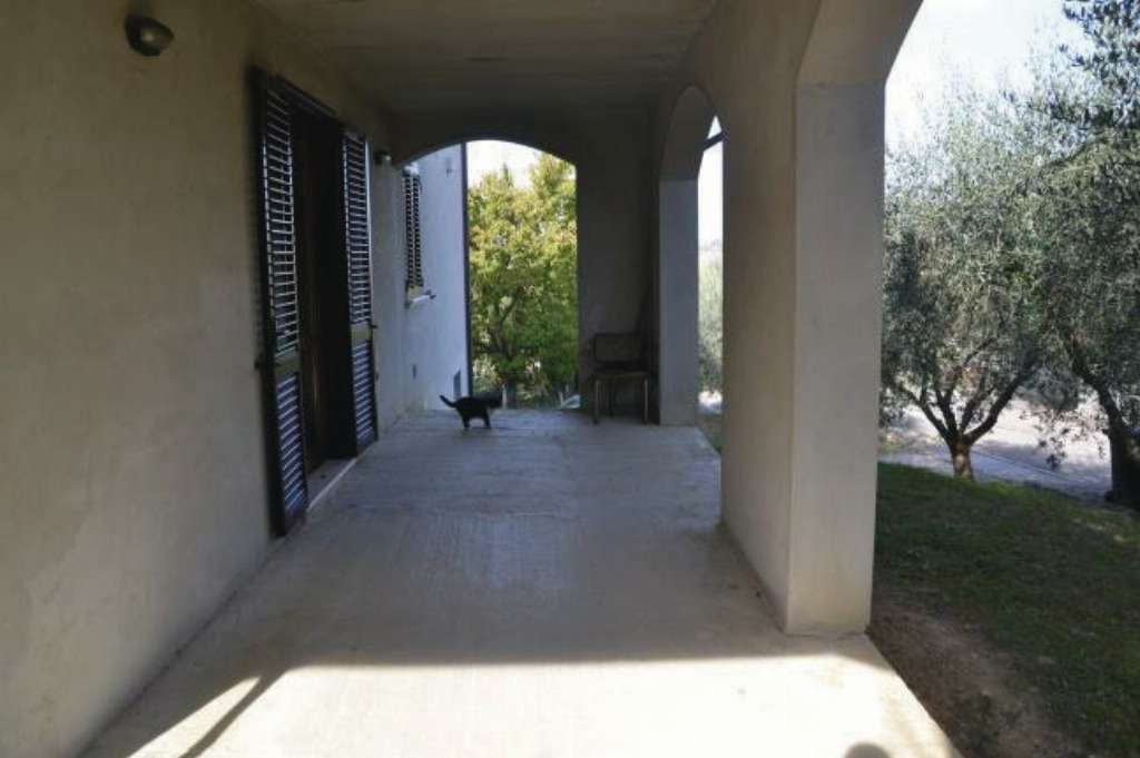  - foto 15