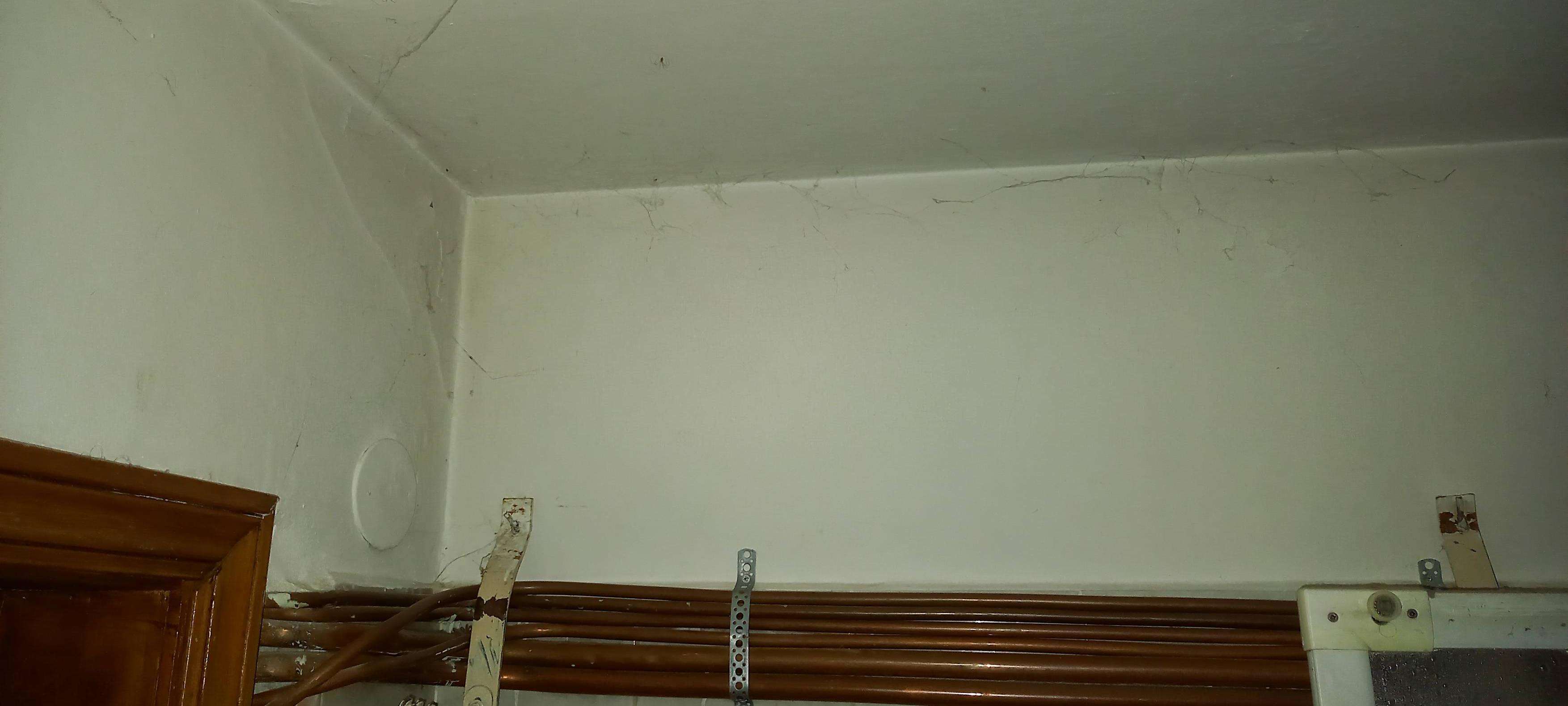  - foto 21