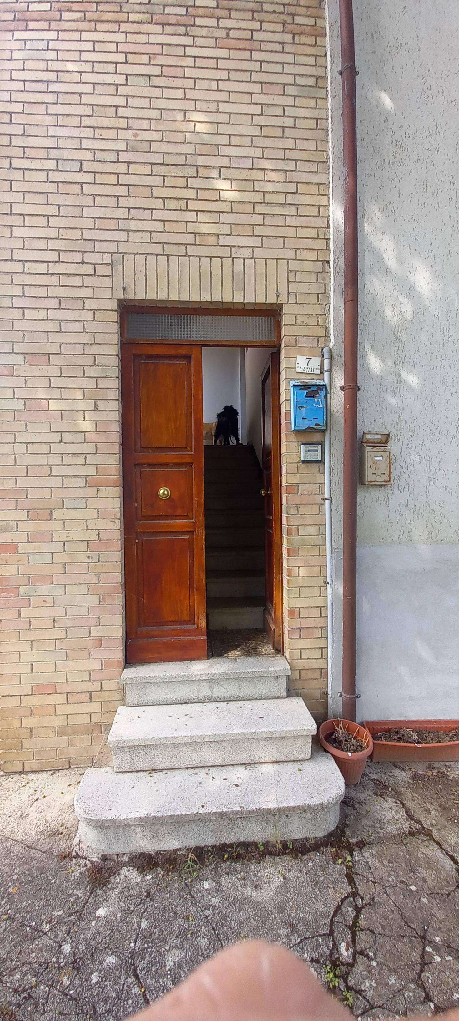  - foto 6