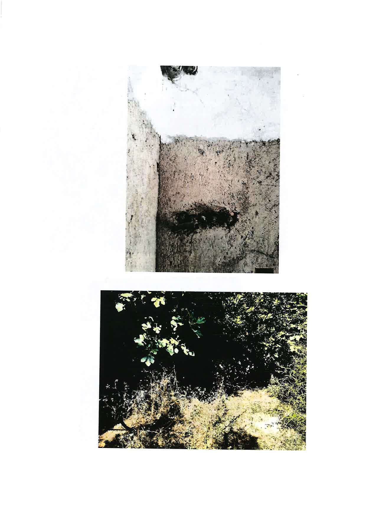  - foto 14
