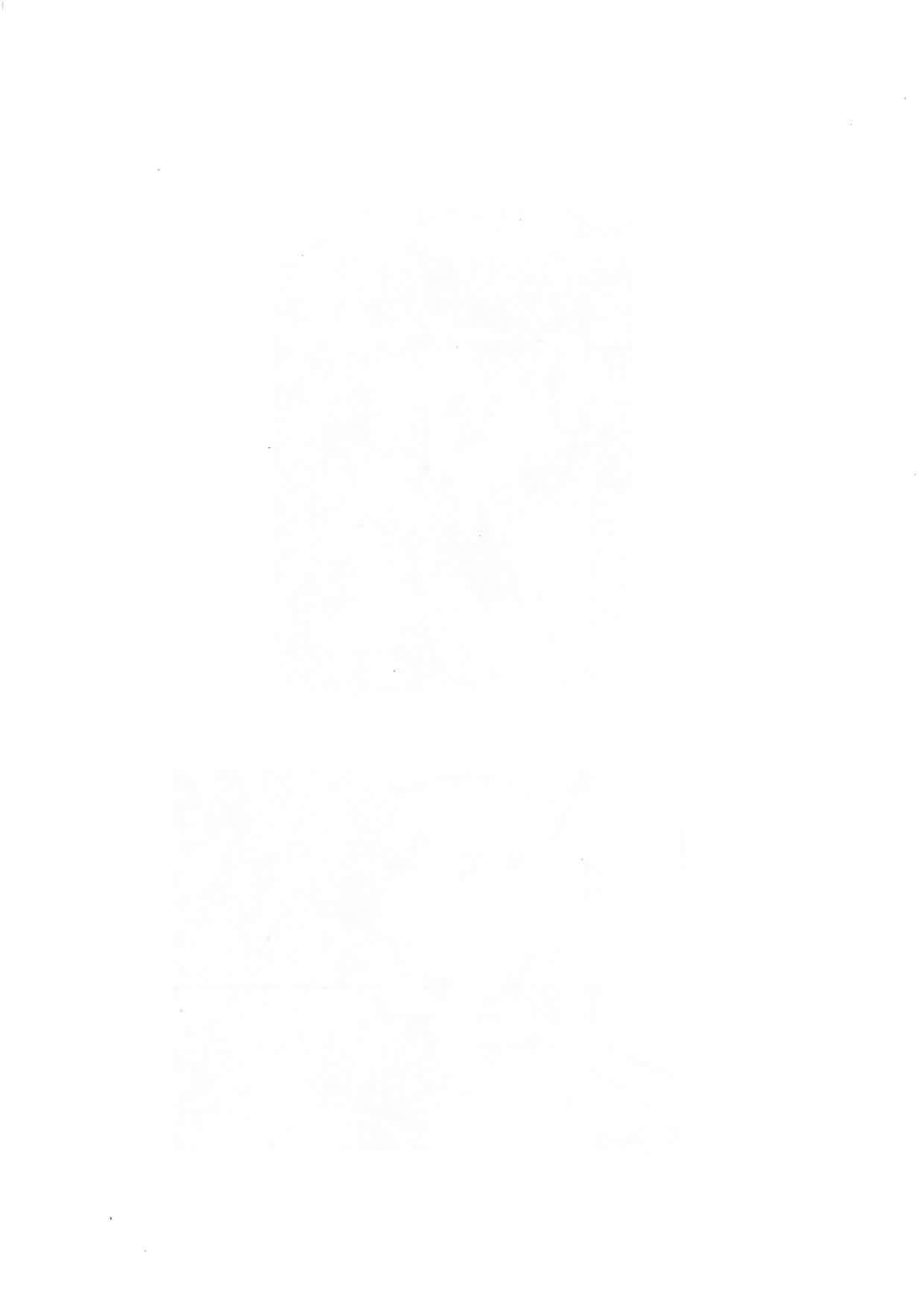  - foto 16
