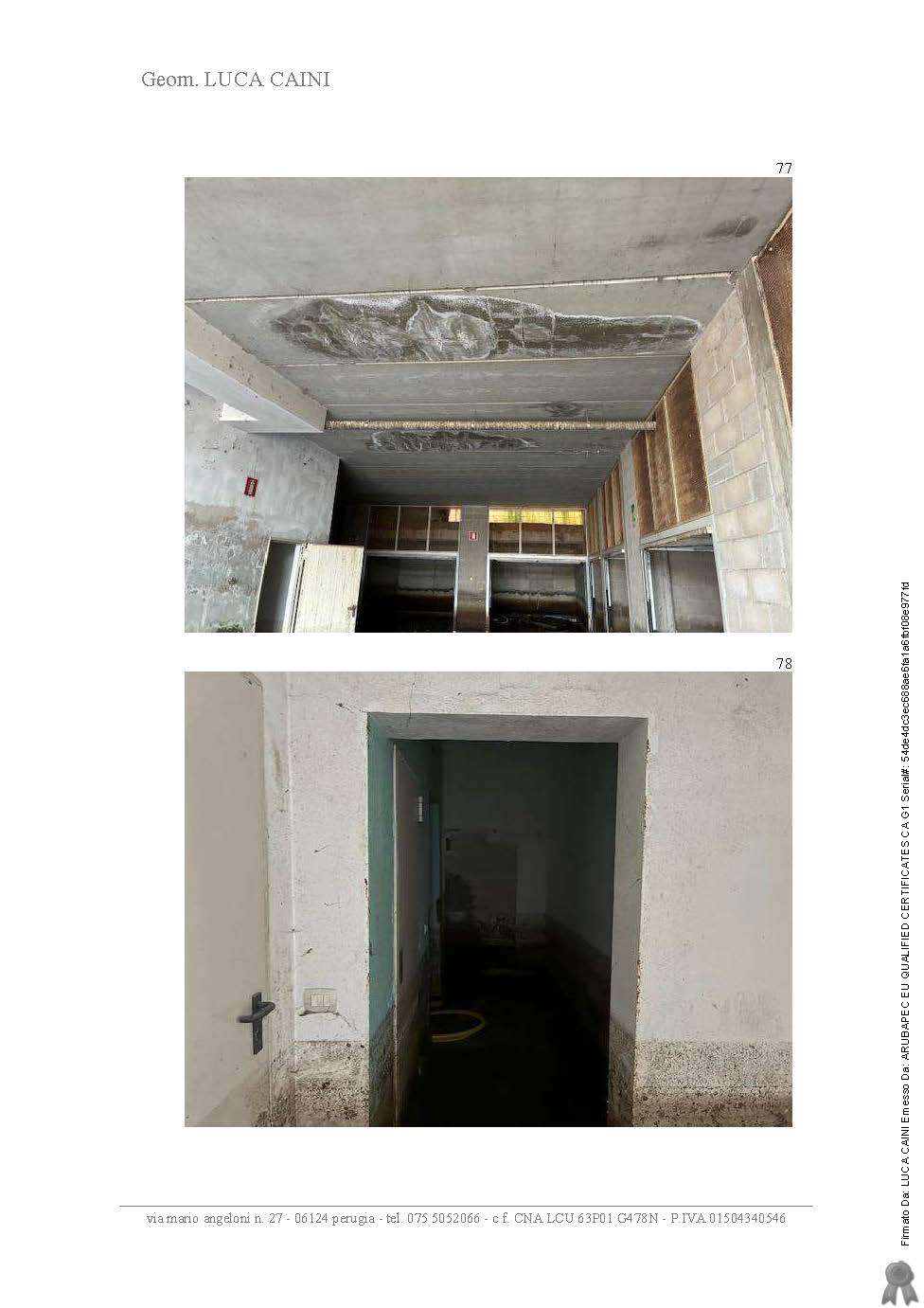  - foto 3