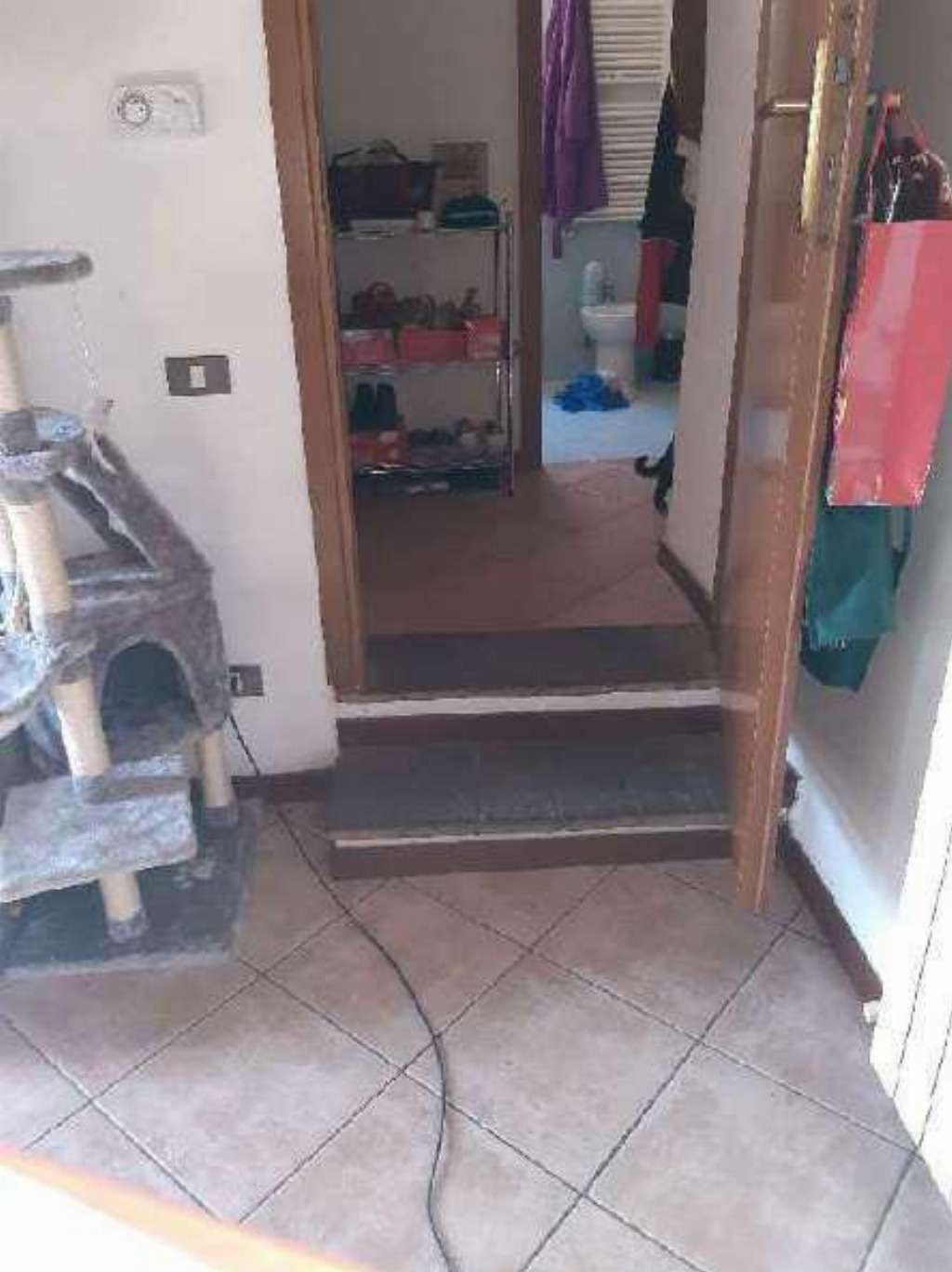  - foto 8
