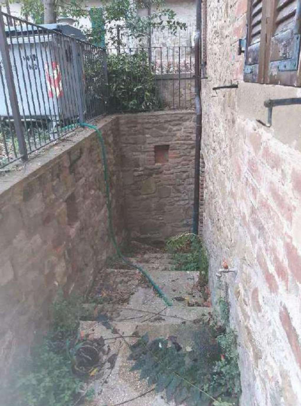  - foto 11
