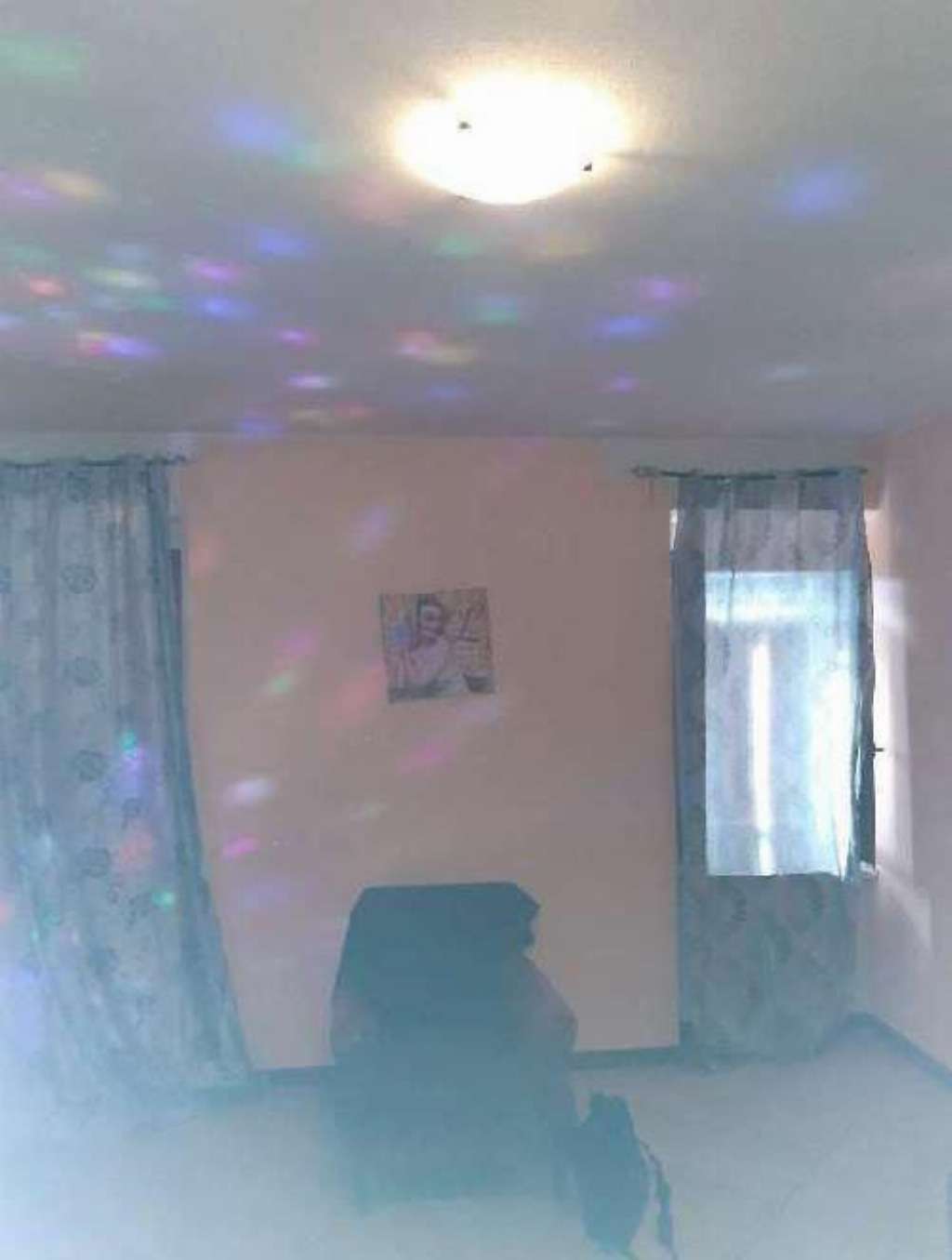  - foto 2