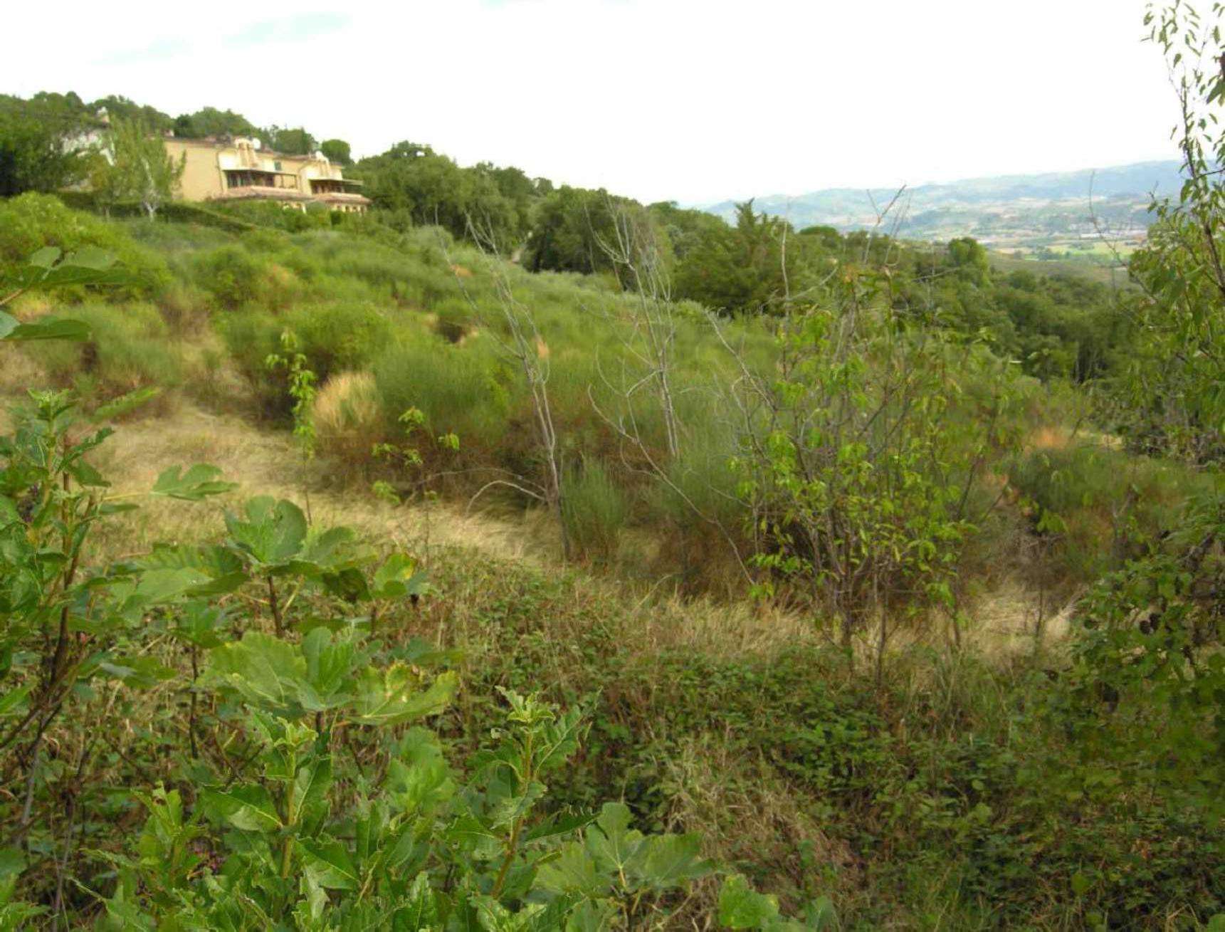  - foto 6