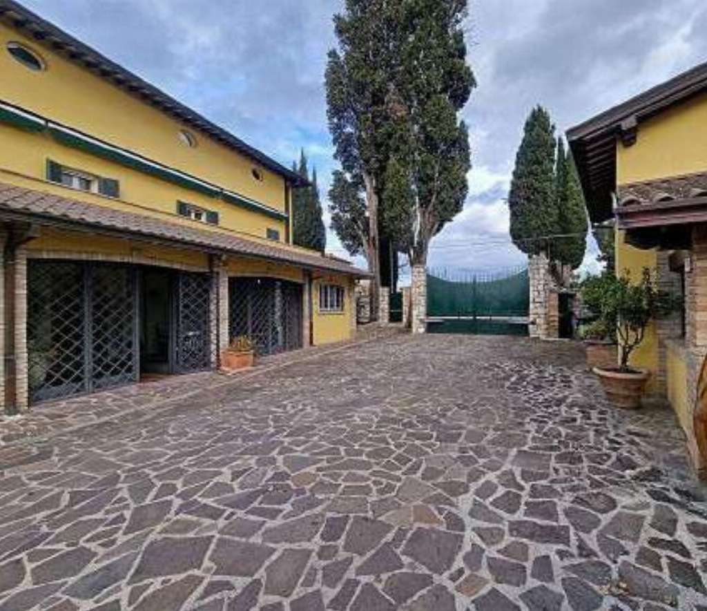  - foto 6