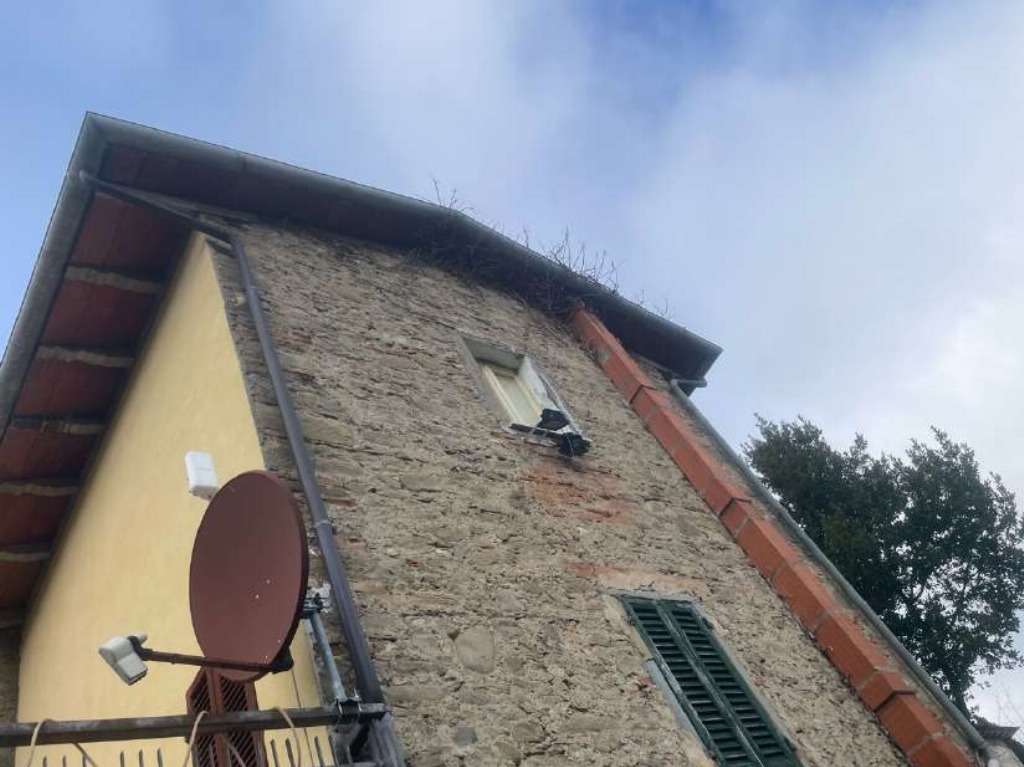  - foto 15