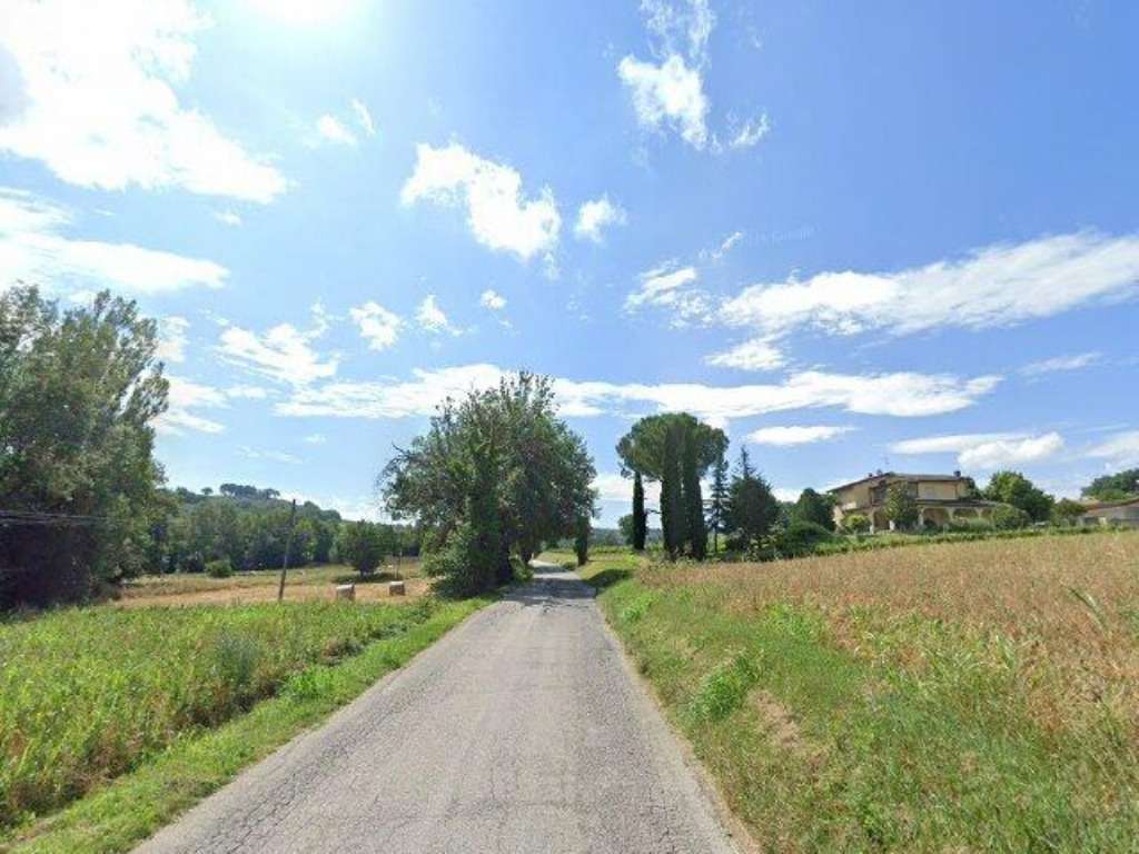 Terreno edificabile Sala-belvedere, SP  443, Montefalco