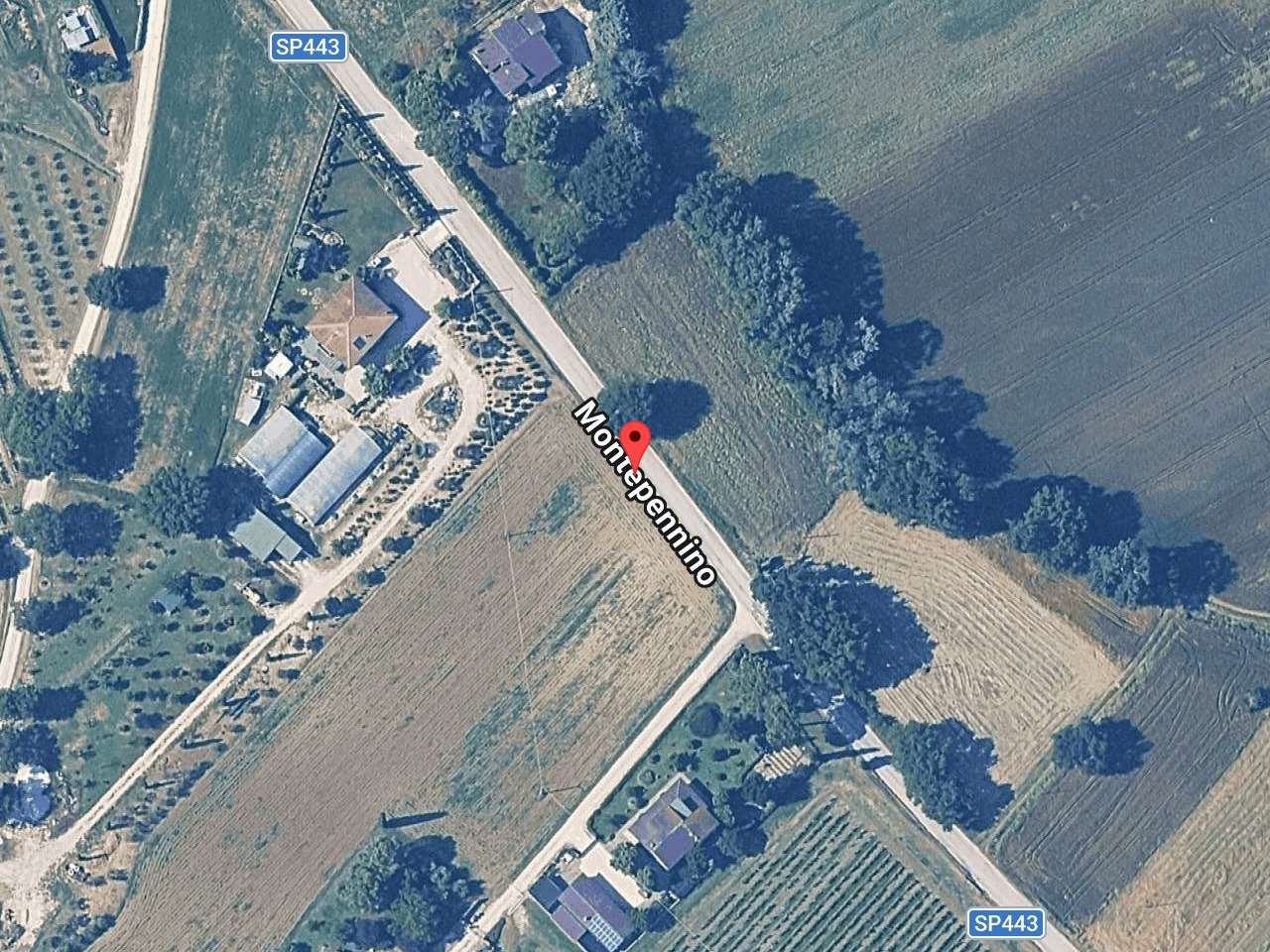  - foto 2
