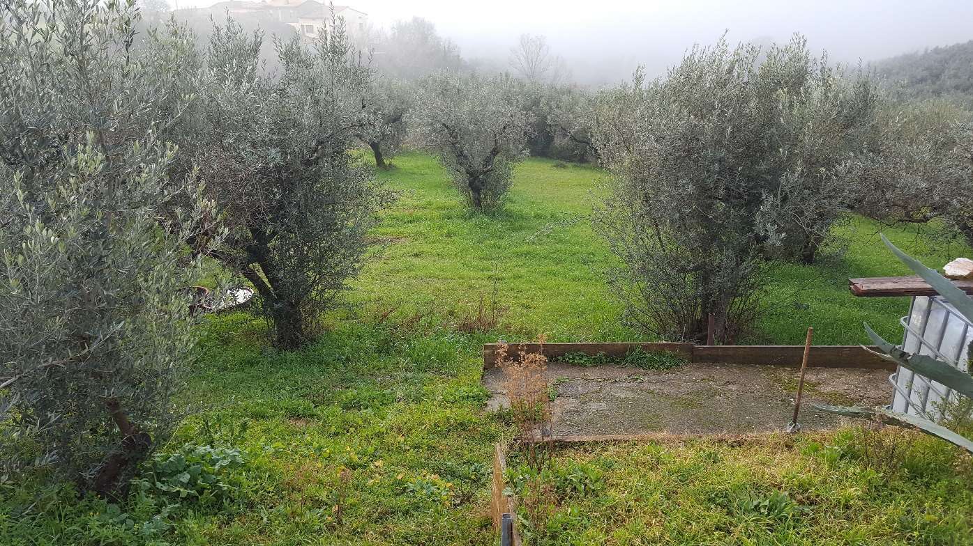  - foto 10