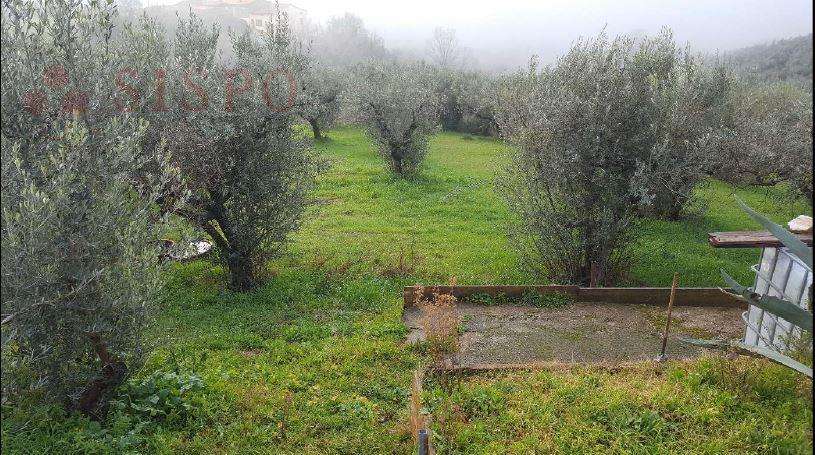  - foto 17
