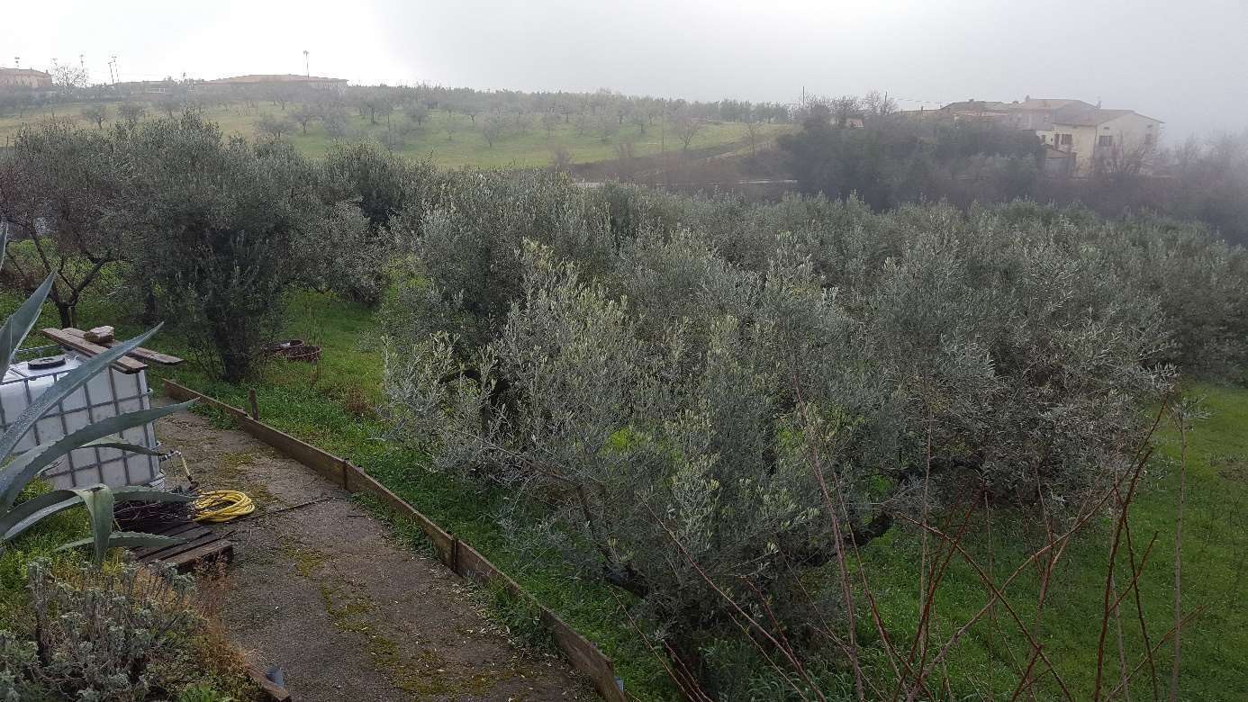  - foto 8