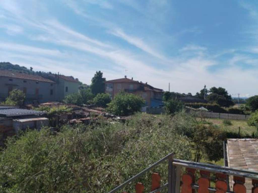  - foto 11