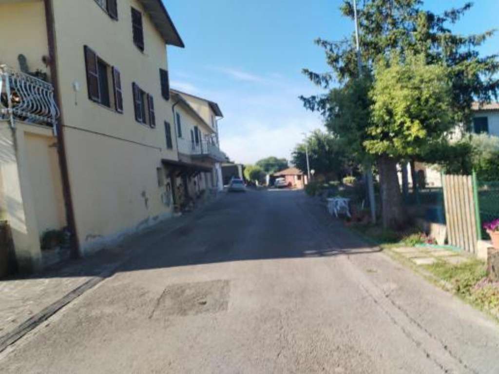  - foto 13
